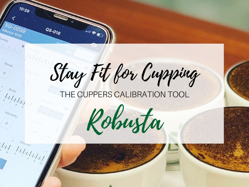 Stay-Fit-for-Cupping-Robusta Stay-Fit-for-Cupping-Robusta