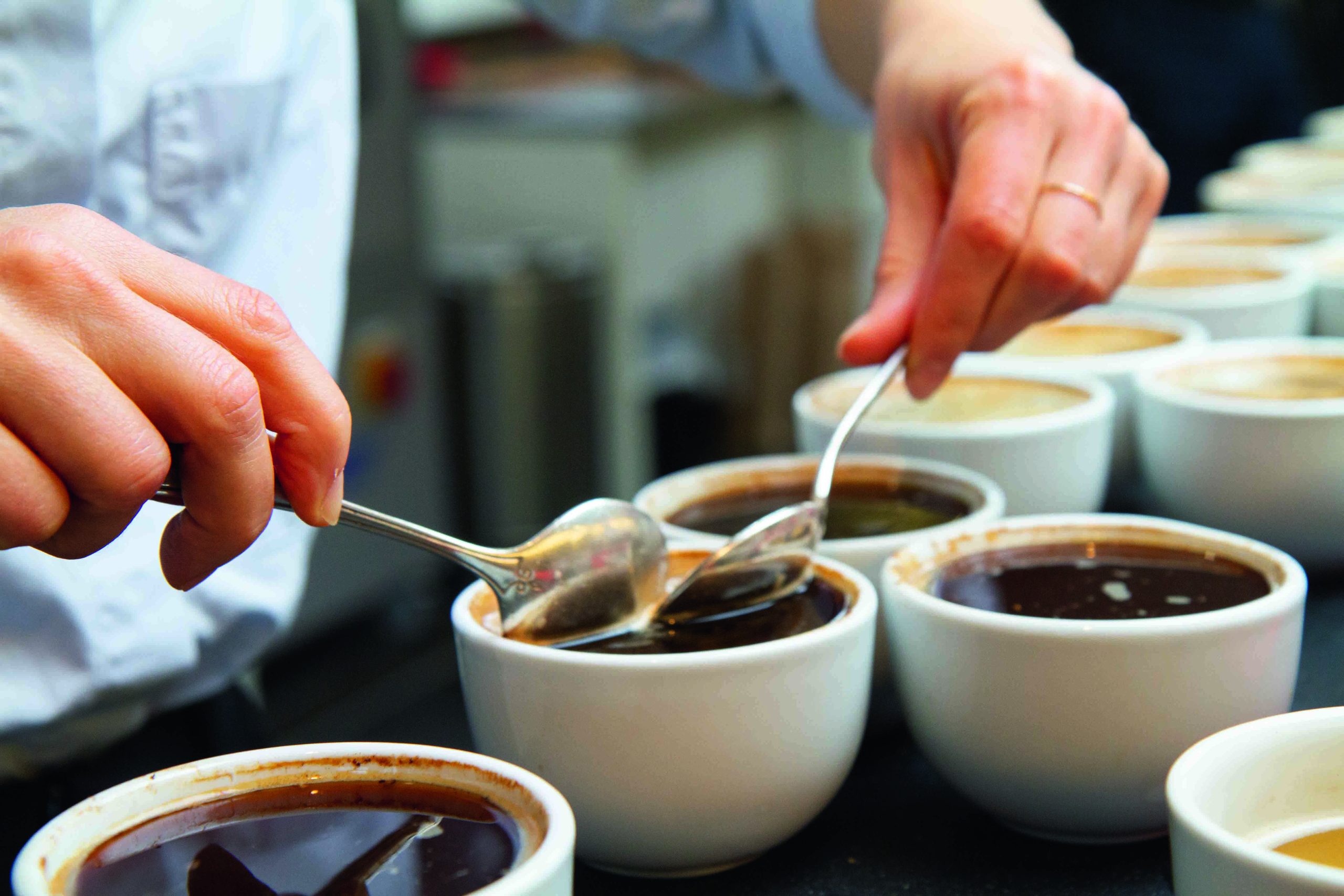 coe-colombia-hamburg_22 coe-colombia-hamburg_22