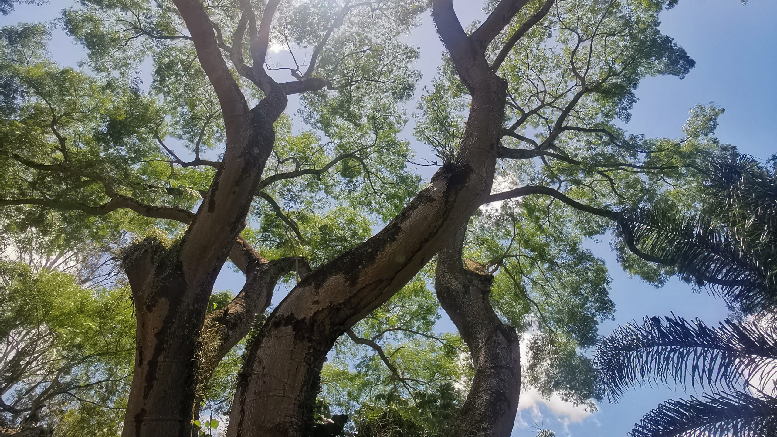 IMG_20221210_112002 16-9 IMG_20221210_112002 16-9